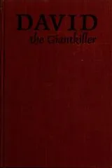 Cover of David the giantkiller