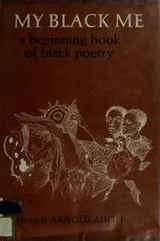 Cover of My Black Me