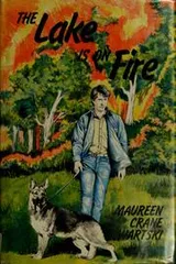 Cover of The lake is on fire