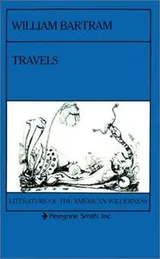 Cover of Travels