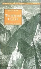 Cover of Wilderness essays