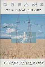 Cover of Dreams of a Final Theory (Radius Books)