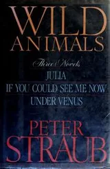 Cover of Wild animals