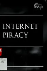 Cover of Internet Piracy