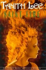 Cover of Saint Fire