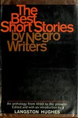 Cover of The Best Short Stories by Negro Writers