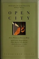 Cover of Open city
