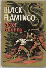 Cover of Black flamingo