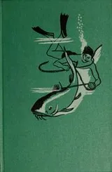 Cover of River duel