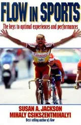 Cover of Flow in sports