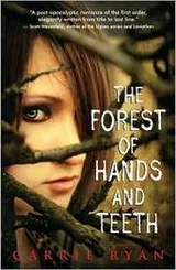 Cover of The Forest of Hands and Teeth (Forest of Hands and Teeth Series #1), Forest of Hands and Teeth Series, Carrie Ryan, (9780375891977) NOOKbook (eBook) - Barnes & Noble
