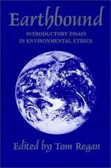 Cover of Earthbound