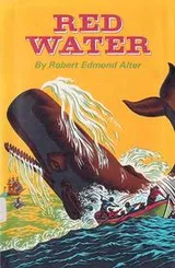 Cover of Red water