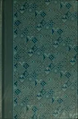 Cover of The monkey and the wild, wild wind