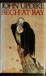Cover of Bech at bay
