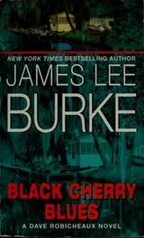 Cover of Black Cherry Blues
