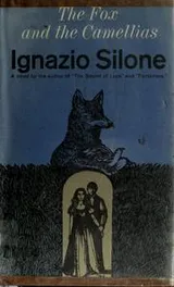 Cover of The fox and the camellias