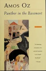 Cover of פנתר במרתף