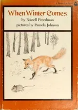 Cover of When winter comes