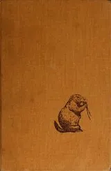 Cover of Animal architects