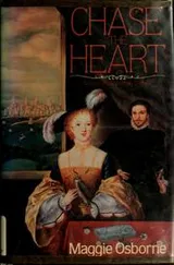 Cover of Chase the heart
