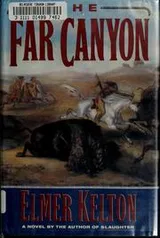 Cover of The far canyon