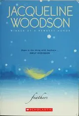 Cover of Feathers