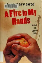 Cover of A fire in my hands