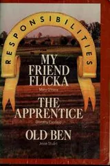 Cover of My Friend Flicka, The Apprentice, Old Ben