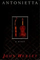 Cover of Antonietta