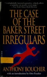 Cover of The case of the Baker Street irregulars
