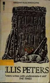 Cover of Fallen into the pit