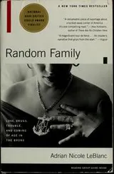 Cover of Random Family