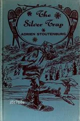 Cover of The silver trap