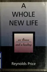 Cover of A whole new life
