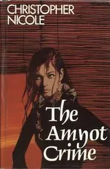 Cover of The Amyot Crime