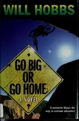 Cover of Go big or go home