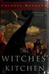 Cover of The witches' kitchen