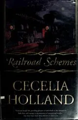Cover of Railroad schemes