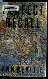Cover of Perfect recall