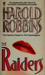 Cover of The raiders