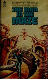 Cover of The Man in the Maze
