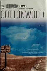 Cover of Cottonwood