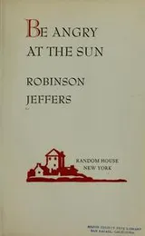 Cover of Be angry at the sun