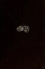 Cover of Squirrels