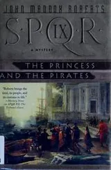 Cover of The princess and the pirates