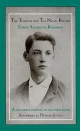 Cover of The torrent