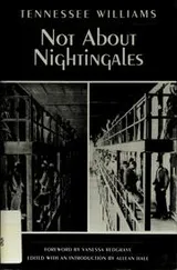 Cover of Not about nightingales