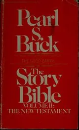 Cover of Story Bible, New Testament (Story Bible)