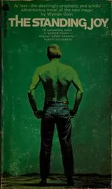 Cover of The standing joy